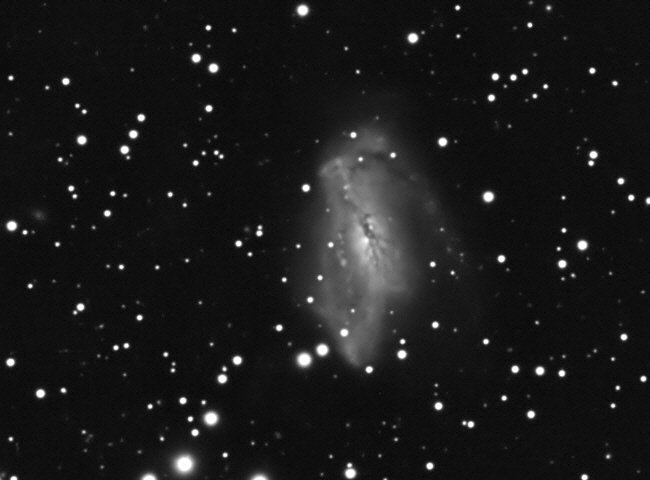 Supernova 2024abfl in der Galaxie NGC 2146