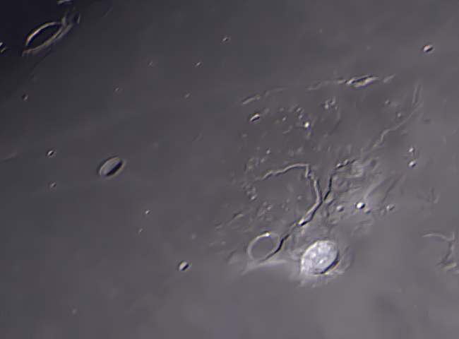 Ein Blick auf das Vulkanplateau um Aristarchus