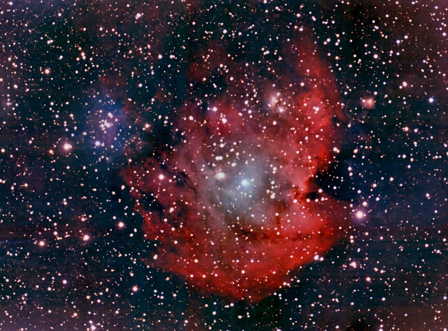 NGC 2175 – der Affenkopfnebel im Orion