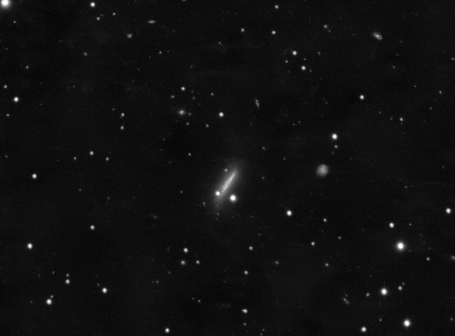 Supernova SN2026fvx in der kleinen Galaxie NGC 4205
