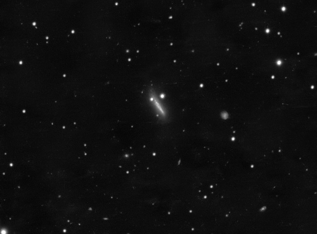Supernova SN2026fvx in der kleinen Galaxie NGC 4205